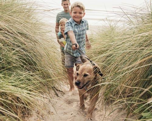 Popular Search Pet Friendly