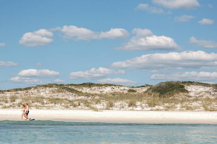 Things To Do Grayton Beach State Park
